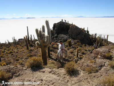 Photo de la forêt de cactus au Salar Uyuni Bolivie